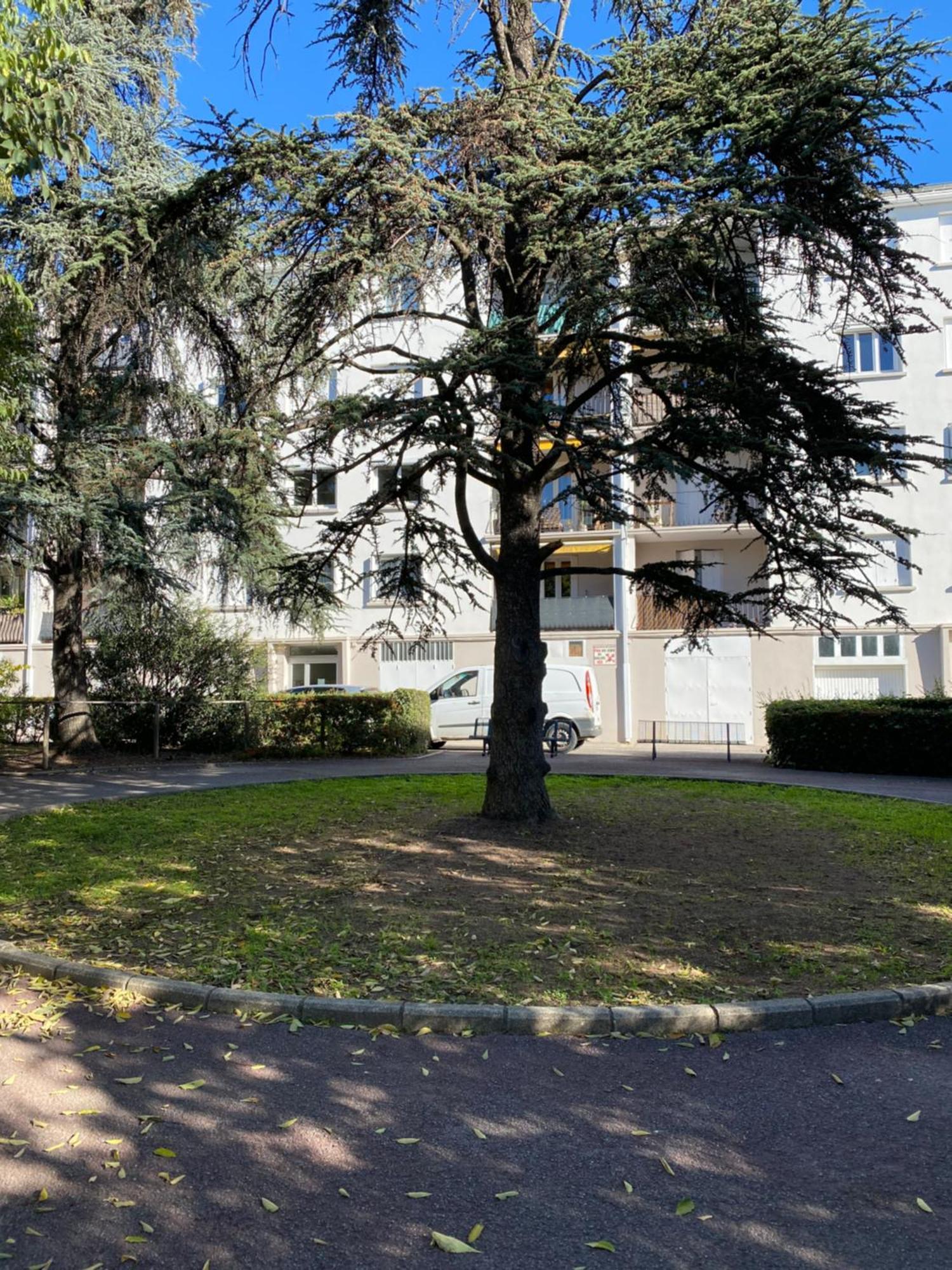 Appartement Rosaluz Montpellier Exteriör bild